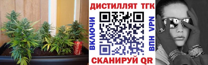 где можно купить наркотик Карачев Дистиллят ТГК гашишное масло